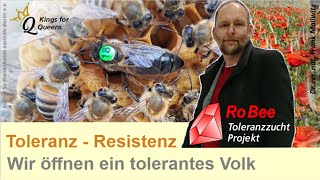 Keine Milben  Blick in die Beute wir öffnen ein Varroa Tolerantes unbehandeltes Bienenvolk [upl. by Nitnert]