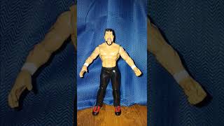 Steve Blackman Titan tron wrestling wwe toys [upl. by Storz937]