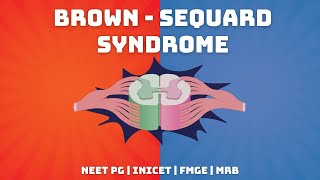 BrownSequard Syndrome  Explained in Tamil  NEET PG  INICET  FMGE  MRB [upl. by O'Connell]