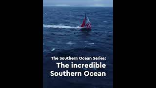 The incredible Southern Ocean [upl. by Kavanagh7]