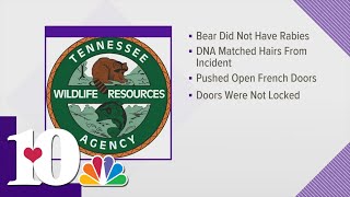 DNA results returned from bear attack [upl. by Dowd]