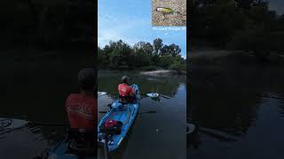 Smallmouth Bass on Crooked Creek  Kayak Fishing  Bonafide RVR 119  Nature [upl. by Gora681]