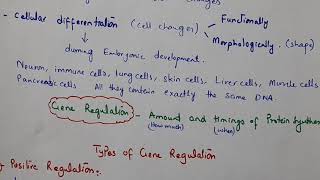 Regulation of Gene Expression class12 Biology [upl. by Margarita970]