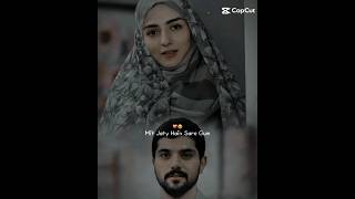 Hamid 💛 Raziyeh agazadeh farsisong turkishdrama urdusong iran love shorts turkishsongs [upl. by Anoirb457]