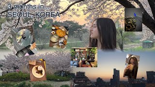 3 MONTHS IN SEOUL KOREA 🇰🇷 cherry blossoms cat cafes food and kpop training [upl. by Odnalo306]