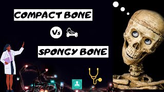 Compact bone Vs Spongy bone  Top 11 Difference in easy way [upl. by Akiehsal663]