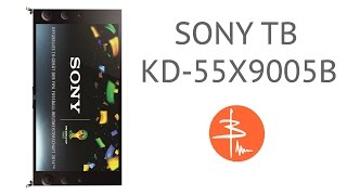 ТВ Sony KD55X9005B  обзор телевизора 4к [upl. by Leraj]