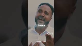 wal barbaada namni Wal jaallatu  oromo oromia music love viral sirbaa song [upl. by Etiuqram]