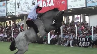 Jineteadas de Caballos 🐴🤠 Fiesta Nacional del Reservado 2020 TvAgro Canal Rural CamperoTv Horses [upl. by Belayneh513]