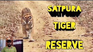 SATPURA NATIONAL PARK  Satpura Tiger Reserve  New UNESCO World Heritage Site Satpura National Park [upl. by Arised]