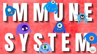 Immune System Innate and Adaptive Immunity Explained [upl. by Nivre]