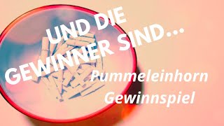 Pummeleinhorn GEWINNSPIEL Wer hat gewonnen [upl. by Artap]