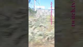 VLINE Albury NSW To Southern Cross 101024 vline shorts shortvideo train travel views [upl. by Japha]