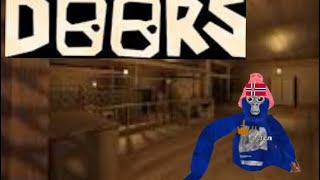 Doors Backdoors Gameplay [upl. by Sivlek]