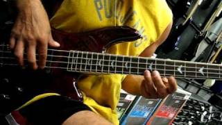 Schecter C 4 Bass [upl. by Aliek292]