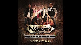 Adolescents Orquesta  Indestructible Álbum Completo [upl. by Haymes]