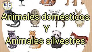 Animales domésticos y silvestres [upl. by Evers920]