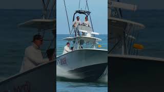 Jolly Roger Sea Vee Z Haulover Inlet [upl. by Tobye]