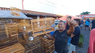 FEIRA DO CORDEIRO RECIFE PERNAMBUCO ACESSÓRIOS GAIOLAS PASSARINHO [upl. by Waki]