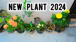 New Plant 2024  Meet With New Family Members  MunazahVlogs [upl. by Dafna]