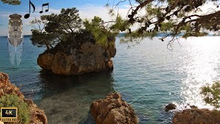 Zikaden sound  Entspannung  Relaxing Nature Sounds  Naturgeräusche  Kroatien  Croatia  Brela [upl. by Soulier494]