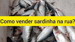 Como VENDER SARDINHA na rua  Como MANTER a sardinha fresca no CARRO [upl. by Gunning600]