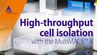 Automation meets cell separation Highthroughput cell isolation with the MultiMACS™ X [upl. by Feliks]