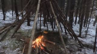 Building a Wickiup Shelter Day 1 [upl. by Alidis200]