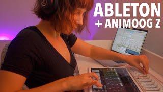 Korg NanoKontrol 2 Ableton Live Performance with Animoog Z Mac VST3 cntrld with Animoog Z iPad app [upl. by Assehc]