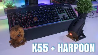 Premium Look At An Affordable Price  Corsair K55  Harpoon Combo Review [upl. by Emeric]