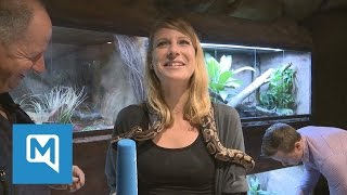 Vogelspinnen und Königspythons Das ist die neue Entdeckerhöhle im Münchner Tierpark Hellabrunn [upl. by Lamont138]