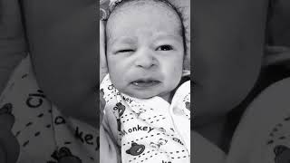 First time open the eyes new born baby youtubevideo newbornbaby babyshorts babyboy [upl. by Helsell81]