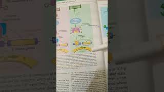 Pathogenesis of RB gens in carcinogenesis  role of RB gene cell cycle regulation robbinspathology [upl. by Htehpaj]