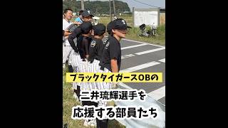 手賀沼エコマラソン2024中央学院大学駅伝部がんばれ！ブラックタイガースのOB二井がペースメーカー [upl. by Cha]