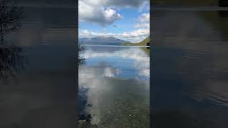 Rotorua lake rotorua youtubeshorts travel newzealandnature nznature camping ufc ytshorts [upl. by Clabo359]