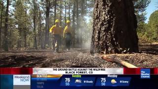 See how wildfires can burn INSIDE trees [upl. by Hsak]