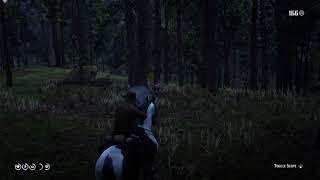 Piebald Tobiano Hungarian Halfbred Wolf and Cougar Interaction  Red Dead Redemption 2 [upl. by Oirottiv318]