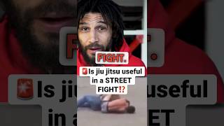 Is Jiu Jitsu useful in a STREET FIGHT mma jiujitsu fight [upl. by Ardeha]