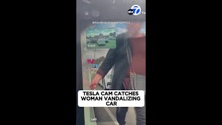 Tesla cam catches woman vandalizing car [upl. by Blumenthal337]