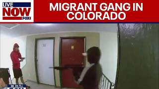 Heavilyarmed migrant gang takes over apartment building in Colorado [upl. by Felisha]