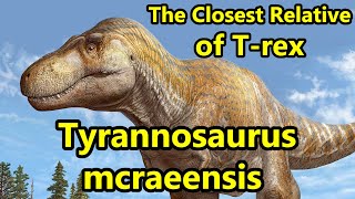 Tyrannosaurus mcraeensis The Closest Relative of T rex [upl. by Ragg]