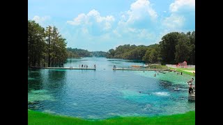 Top 12 Springs in North Florida [upl. by Niel]