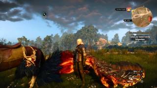 The Witcher 3 Wild Hunt  HairWorks ONOFF [upl. by Accemahs]