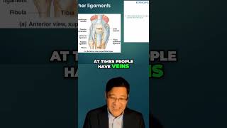 Knee Anatomy Ideal Injection Techniques You Must Know [upl. by Neelrak539]