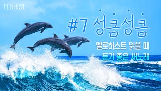 엘로히스트 읽을 때 듣기 좋은 새노래 7 [upl. by Hadik]