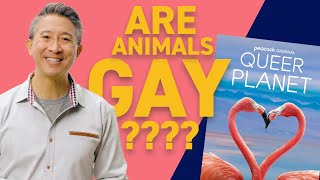 🌈 Is Being Gay Natural Because of Gay Animals A Christian Response to Queer Planet [upl. by Bunns]