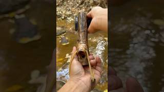 A slingshot that can shoot arrows Very powerful outdoors survival bushcraft camping [upl. by Namlak]