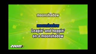 Cat Stevens Moonshadow Karaoke Version from Zoom Karaoke360p [upl. by Arney]