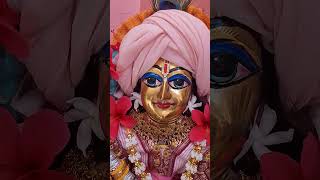 Joy sree radhe shyam 🙏❤️ytshorts shyam trending shymatrending shorts 🙏🙏🙏🙏❤️❤️❤️ [upl. by Ativad]