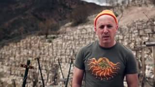 Blood into Wine Maynard James Keenan  Trailer Officiale [upl. by Ille]